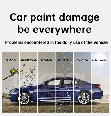 Hardener Car Paint Protection Coating , Rustoleum Trim And Bumper High Gloss Auto Paint
